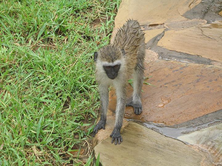 Kenya 119